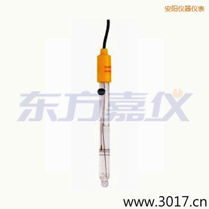 安陽可填充玻璃管電極